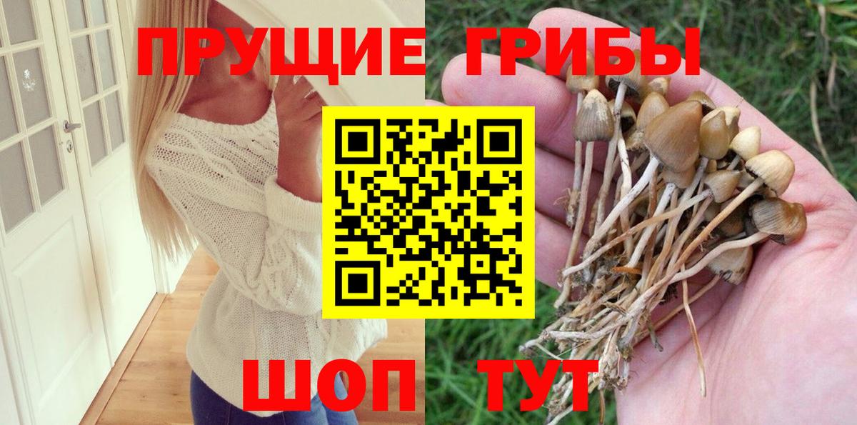 Псилоцибиновые грибы ЛСД Сызрань