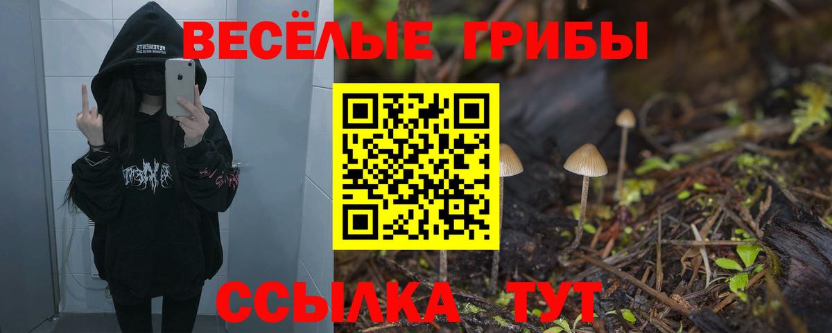 Галлюциногенные грибы Psilocybine cubensis  цены наркотик  Сызрань  Вход с VPN 
