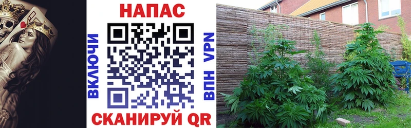 Шишки марихуана SATIVA & INDICA Сызрань